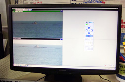 沿岸監視の様子